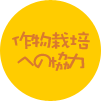 �앨�͔|�ւ̋���