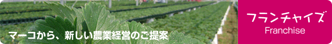 �t�����`���C�Y