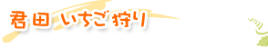 �N�c���������